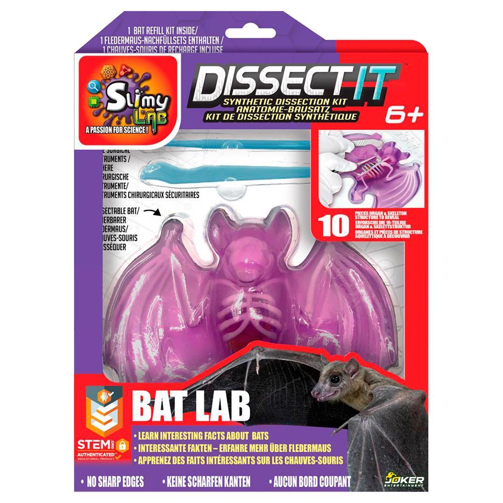 Kit de Dissecação com Refil Lab Dissect-It - Morcego em Oferta na Shopee