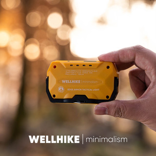WELLHIKE luz de teto prismática para cabine, iluminação forte, cartão magnético, led, bateria de longa duração, pano peq