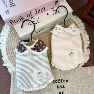 Roupas para animais de estimação gato cachorro outono inverno saia Teddy Bichon roupas fofas