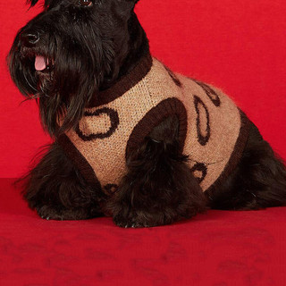 Novo outono inverno camisola para animais de estimação engrossado alta elástica rua Wear roupas para cães combate francê