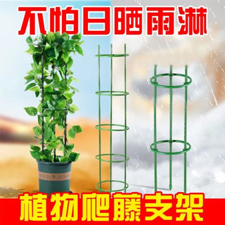 Suporte de escalada de plantas simples plástico redondo Multi-camada flor suporte instalação-livre Desktop interior plan
