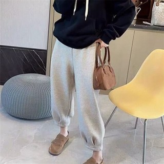 Calças harém de lã pequena calças femininas outono inverno novo estilo solto moda All-Match quente Casual engrossado Swe