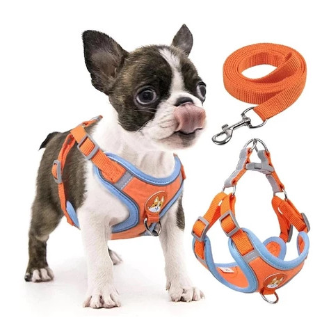 Coleira Peitoral Cachorro E Gato, Conjunto De Guia + Coleira Tipo Colete Para Pet Pequenos E Médios