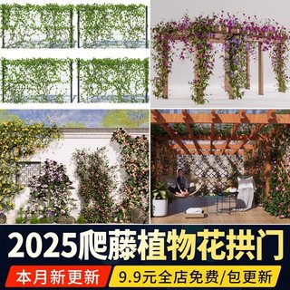 Escalada videira planta SU modelo pendurado pátio jardim pátio parede escalada videira flor suporte galeria suporte esbo