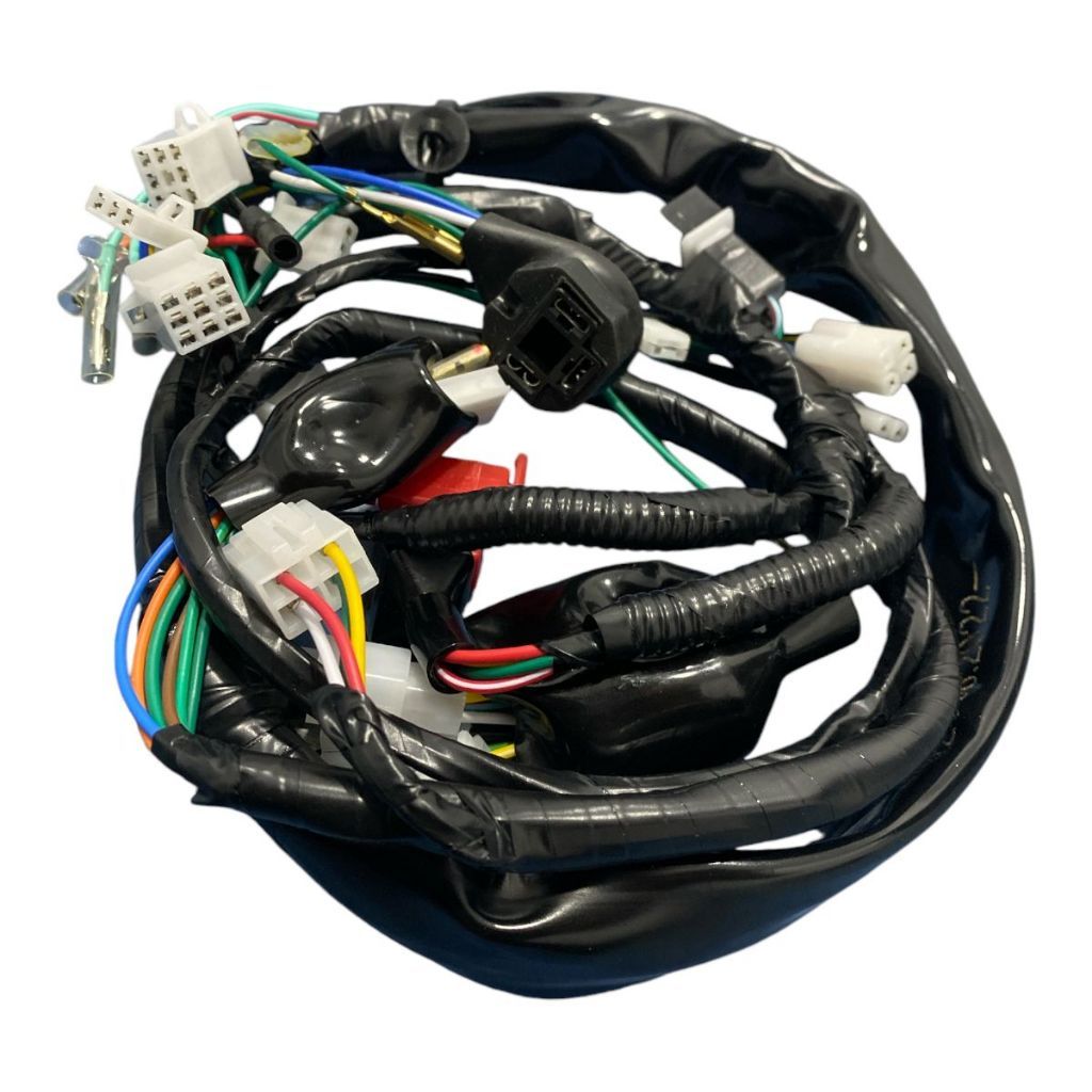 Fiação Principal Chicote Honda Cg 125 Titan Es 2000 2001 2002 Partida Eletrica
