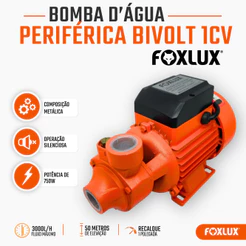 Bomba Periférica Foxlux 1CV 750W Bivolt Para Limpa Vazão 3.000 L/h e Altura 50 mca