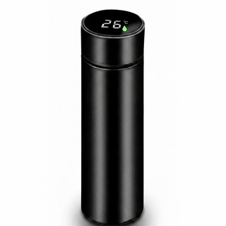 Garrafa Termica 500ML