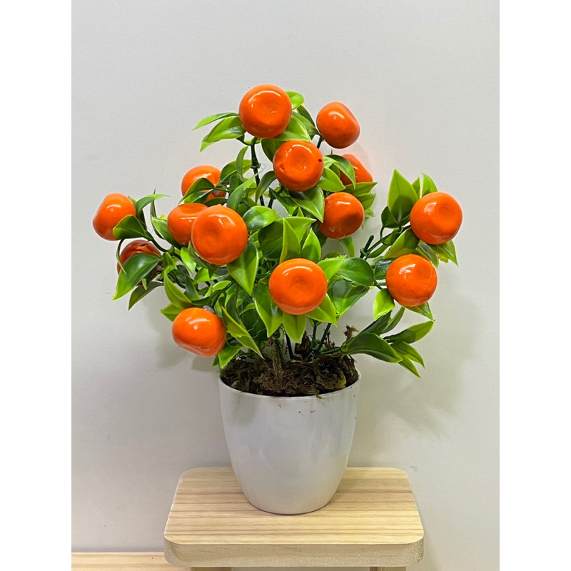 Vaso Decorativo de Plástico 27cm Planta fruta