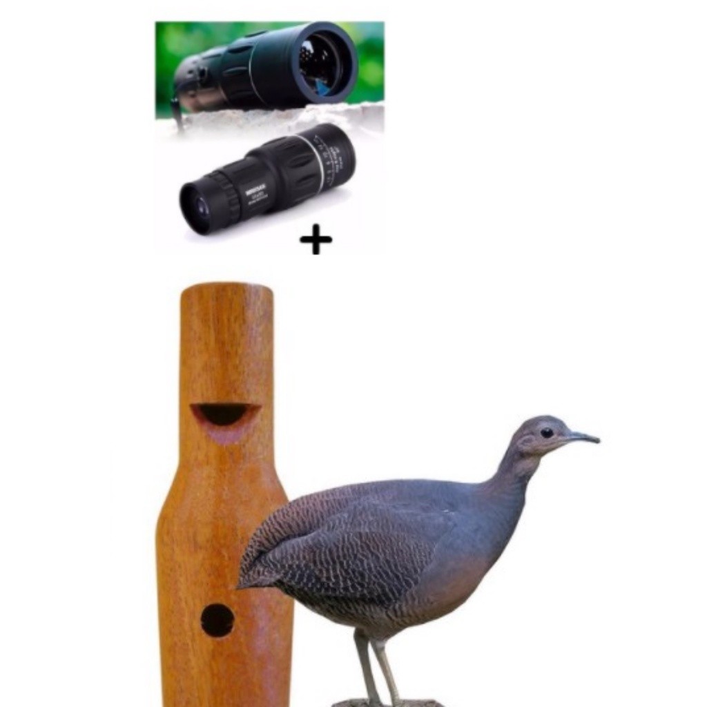 Apito Madeira Jaó 30 Profissional + Luneta Observação De Aves
