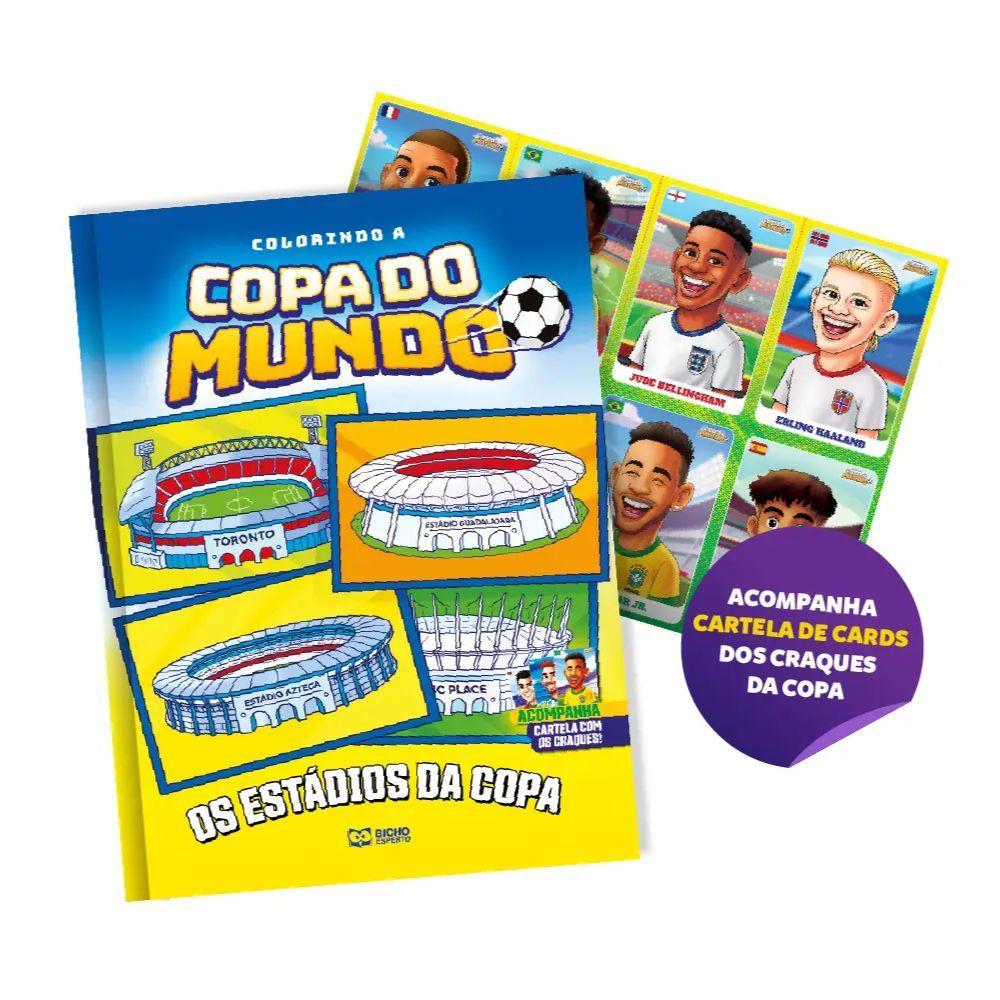 Colorindo a copa do mundo - Os estádios da copa