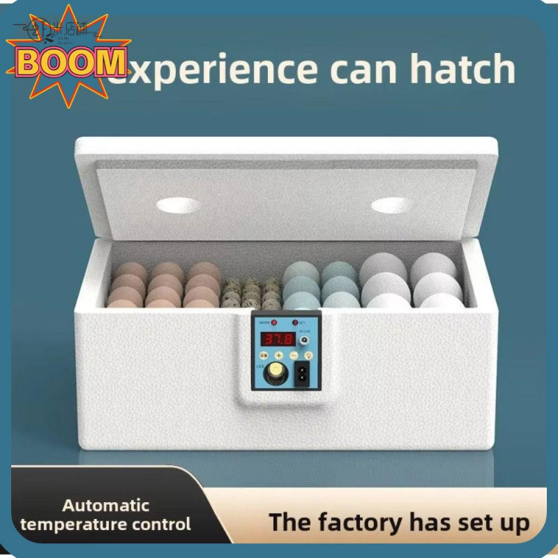 Chocadeira Automática Pequena: Onde Comprar | BuscaProdutos