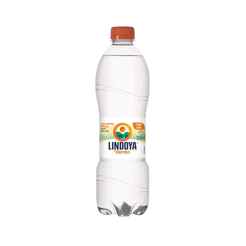 Água Mineral Lindoya Verão com Gás