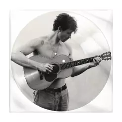 Vinil Shawn Mendes - Shawn (Picture disc) - Importado
