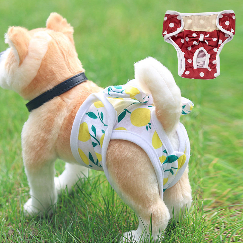 Fêmea Calça Fisiológica Cachorro Roupa De Fraldas Bowknot Breathable Cute Pet Panties Supplies — imagem 2 de 2