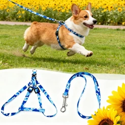 2 Kit Coleira Para Animal Resistente À TraçãO Comprimento AjustáVel Grip ConfortáVel Leve E Duradouro