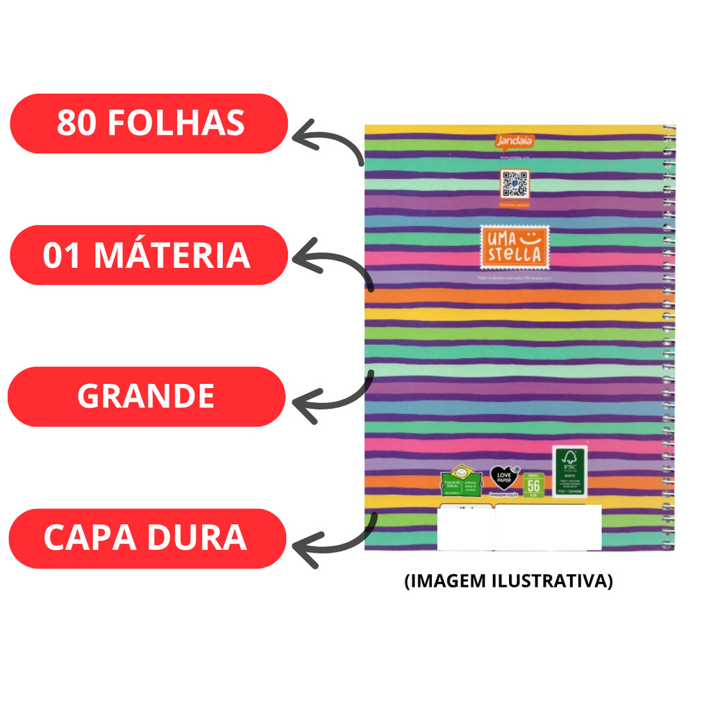 Kit 02 Cadernos Universitário 1 Matéria 80 Folhas Stella- Jandaia · foto 2
