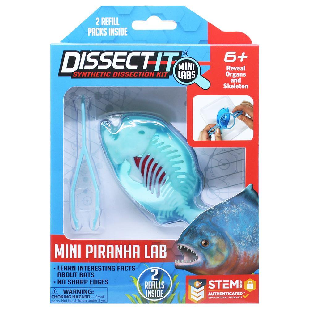 Kit de Dissecação Mini Lab Dissect-It - Piranha em Oferta na Shopee
