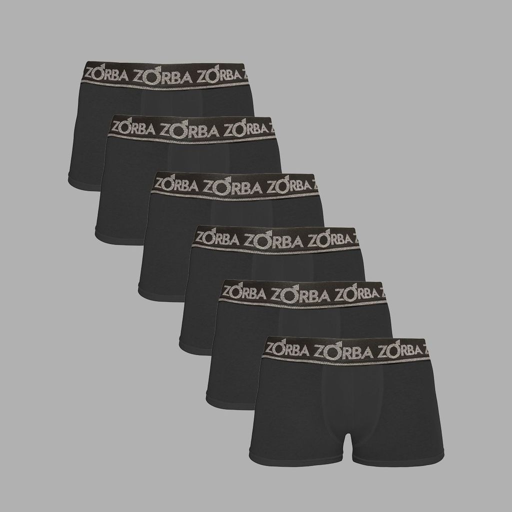 Kit 6 Cuecas Zorba Boxer Plus 717
