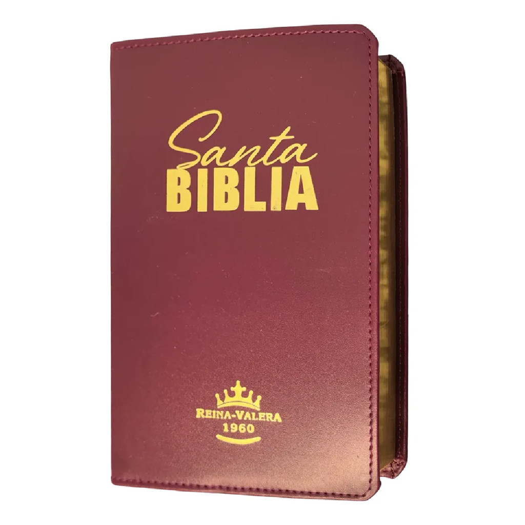 SANTA BIBLIA | REINA VALERA 1960 | LETRA NORMAL | CAPA LUXO VINHO