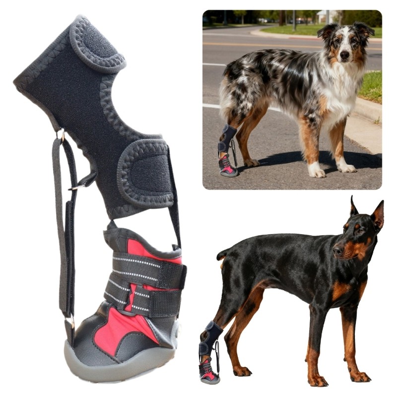 Cinta Pé Estone Carretel Para, Bota Arrastar Patas