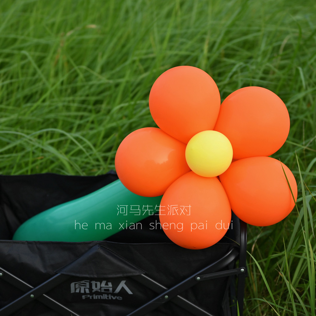 Sr. Hipopótamo festa pequeno livro vermelho mesmo estilo cor laranja grande flor balão Material pacote acampamento pique