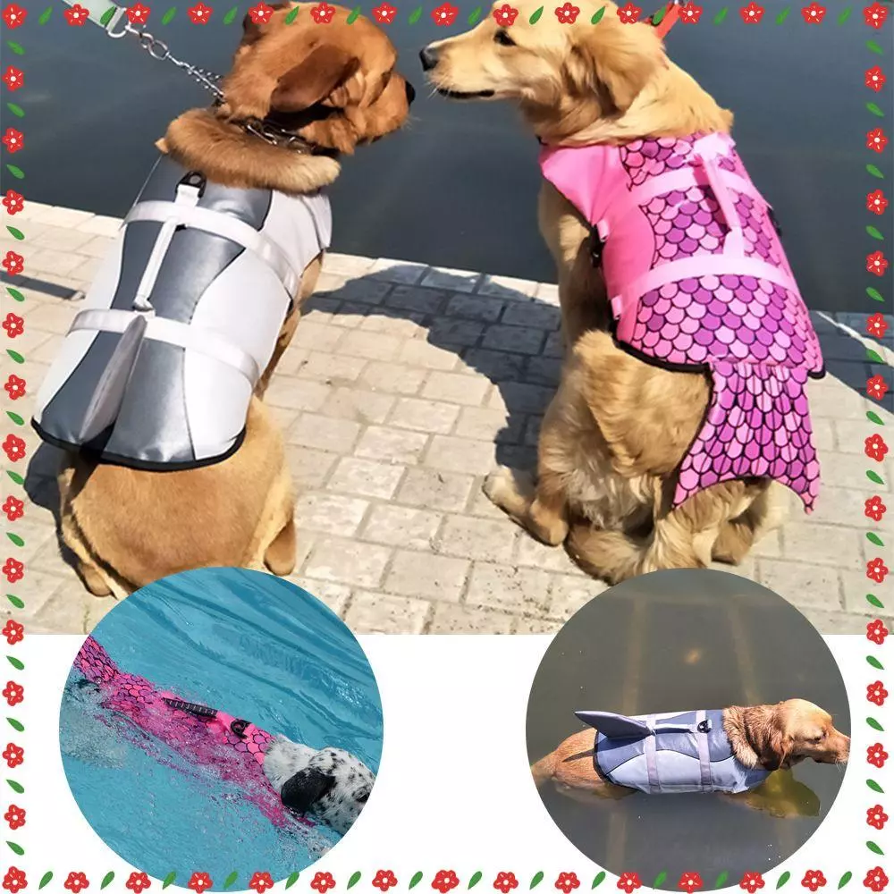 Colete Salva-Vidas Durável Para Flutuar A Natação / Preservador De Cachorro