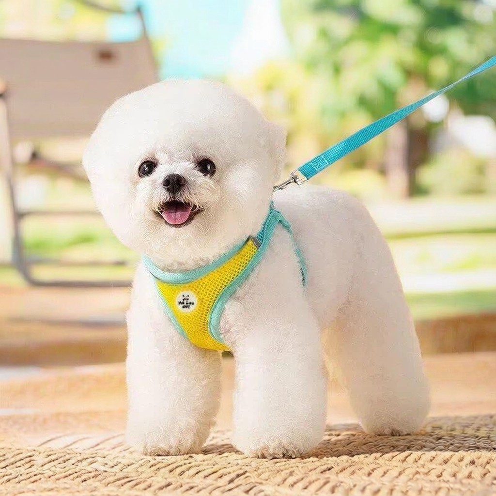 Trela do cão multicolorido trela de caminhada do cão pequeno médio grande trela do cão coleira suprimentos para animais 