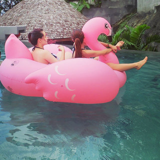 Água adulto Super grande Original 190CM rosa flamingo montar pescoço grosso flamingo linha flutuante anel de natação