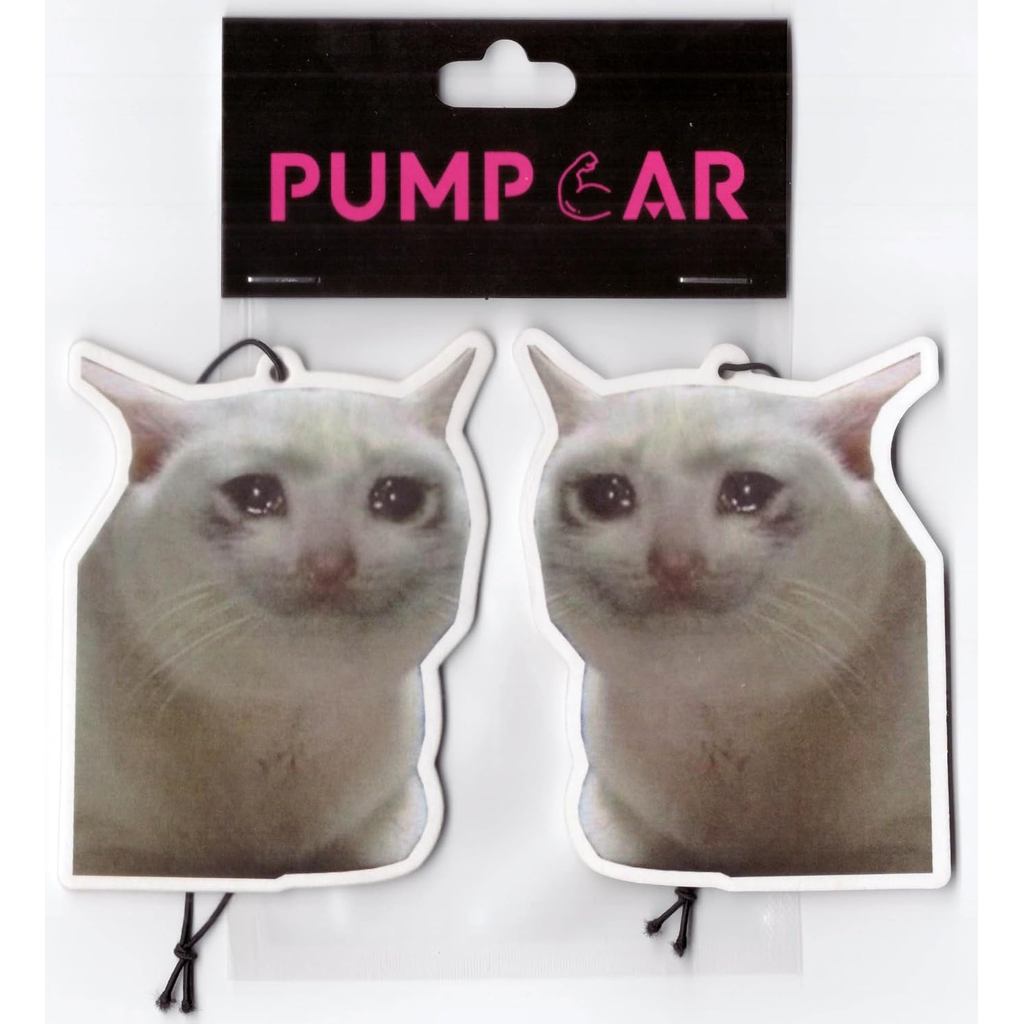 PumpCar 2 Peças Dupla Face Gatinho Triste Gato Pendurado Ambientador De Carro Engraçado Com Aroma De Cereja Legal Para E