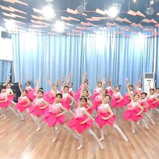 Wanyi magnólia traje infantil traje étnico feminino princesa Pettiskirt desempenho traje magnólia flor dança traje 10.11
