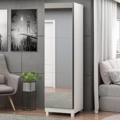 Sapateira 1 Porta Espelhada Gold 100% MDF Branco/Acetinado Branco Acetinado