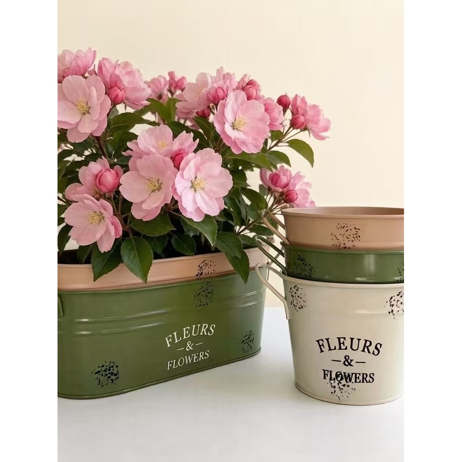 Varanda planta verde suculenta vaso de flores Nordic decoração para casa Oval lata vaso pequeno barril lata recipiente f