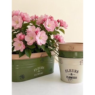 Varanda planta verde suculenta vaso de flores Nordic decoração para casa Oval lata vaso pequeno barril lata recipiente f