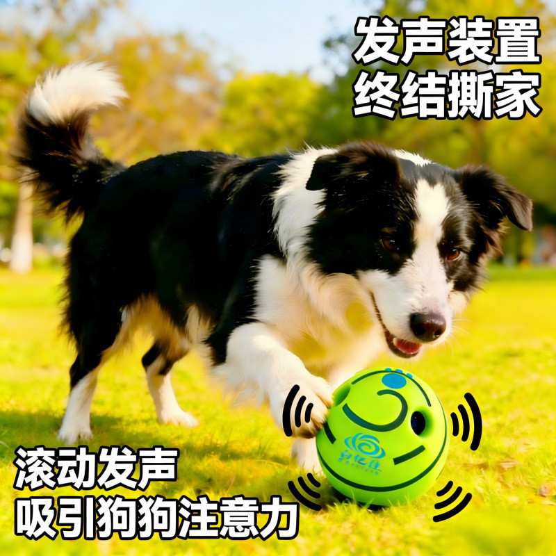 Bola de brinquedo de voz para cachorro, resistente à mordida, Molar, bola de brinquedo para animais de estimação, alivia