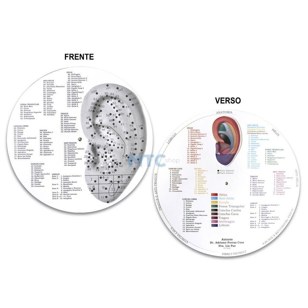 Mapa Disco Auricular - Thiago Nishida