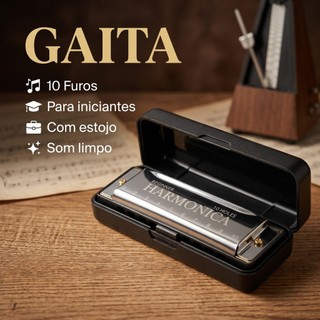 Blues Swan Gaita Harmonica Diatonica C Do 10 Furos 20 Vozes TOP Estojo Instrumento Musical Iniciante