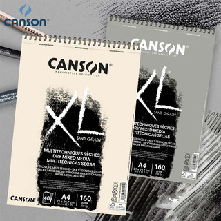 Canson XL Series Matte Color Powder Book Estudante Arte Alunos Dedicado 160g Pó Cor Pintura Papel Esboço Bobina Livro Na