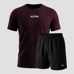 Kit Bermuda Lobo+Camiseta Dry Fitness Academia Alpha Co