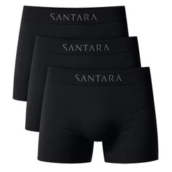 Kit 3 Cueca Boxer Adulto Microfibra Sem Costura Kit Cueca Box Cueca Masculina Santara Usee Brasil