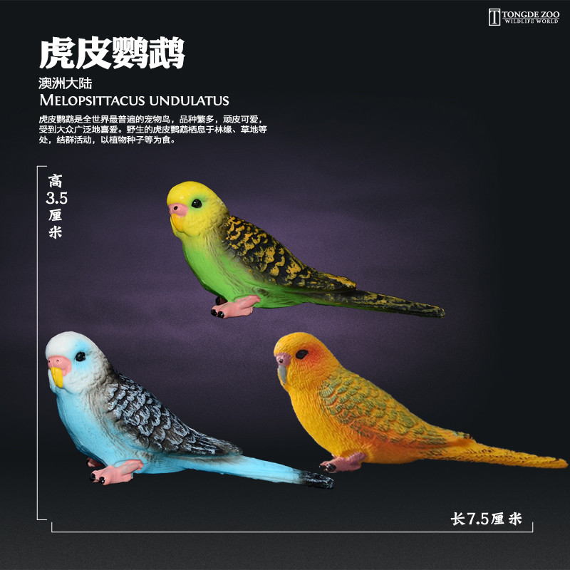 Tongde simulação sólida modelo animal brinquedo pássaro brinquedo periquito educação infantil ornamentos cognitivos