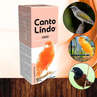 CANTO LINDO Iodo Suplementos de passarinhos e aves concentrado 20ml - Provets Simões em Oferta na Shopee