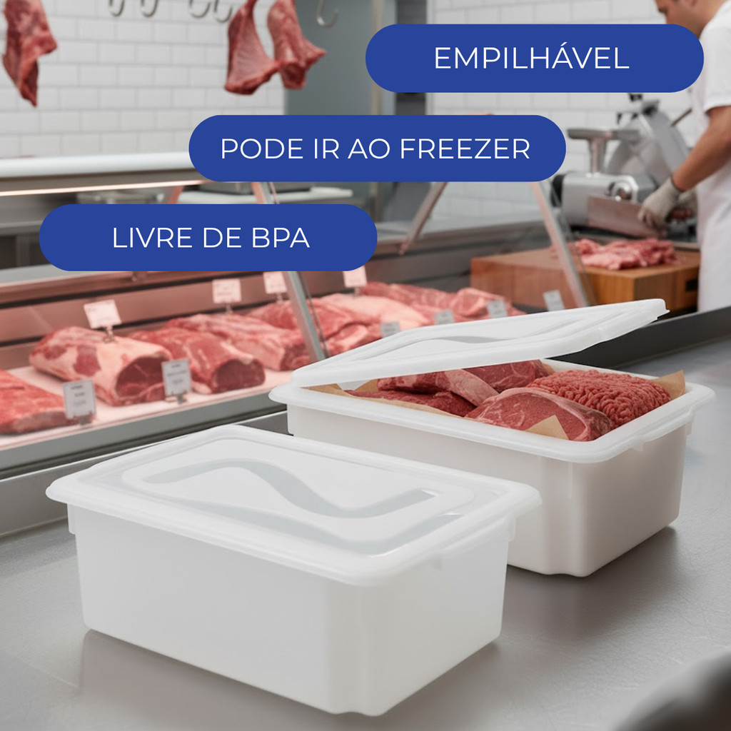 Conjunto 2 Caixas Gourmet 12L com Tampa Santana para Freezer — imagem 2 de 2