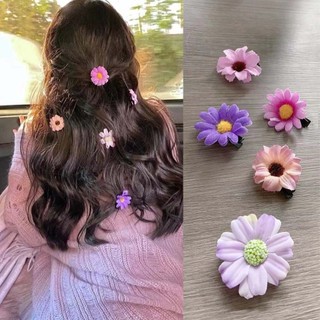 Conjunto de 5 presilhas de cabelo com flores de margarida delicadas e estilo francês, acessórios para penteados e fotos 
