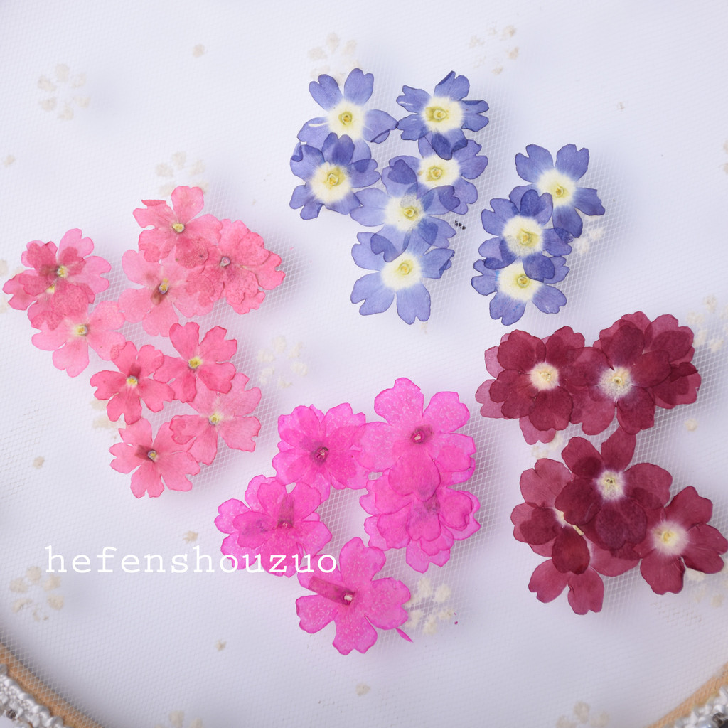 Flor real beleza cereja Material de gravação DIY epóxi flor real Coaster flor seca Manicure beleza maquiagem frete gráti