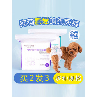 Fralda para cachorro masculino, calças fisiológicas, fralda para animais de estimação, Bichon, Teddy, Golden Retriever, 
