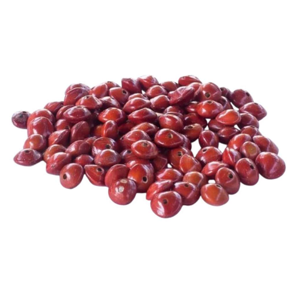 Semente Pau Brasil Artesanato C/ Furo - 250 Peças em Oferta na Shopee