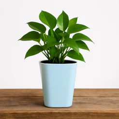 Vaso autoirrigável quadrado para plantas, com reservatório e indicador de água – prático e elegante