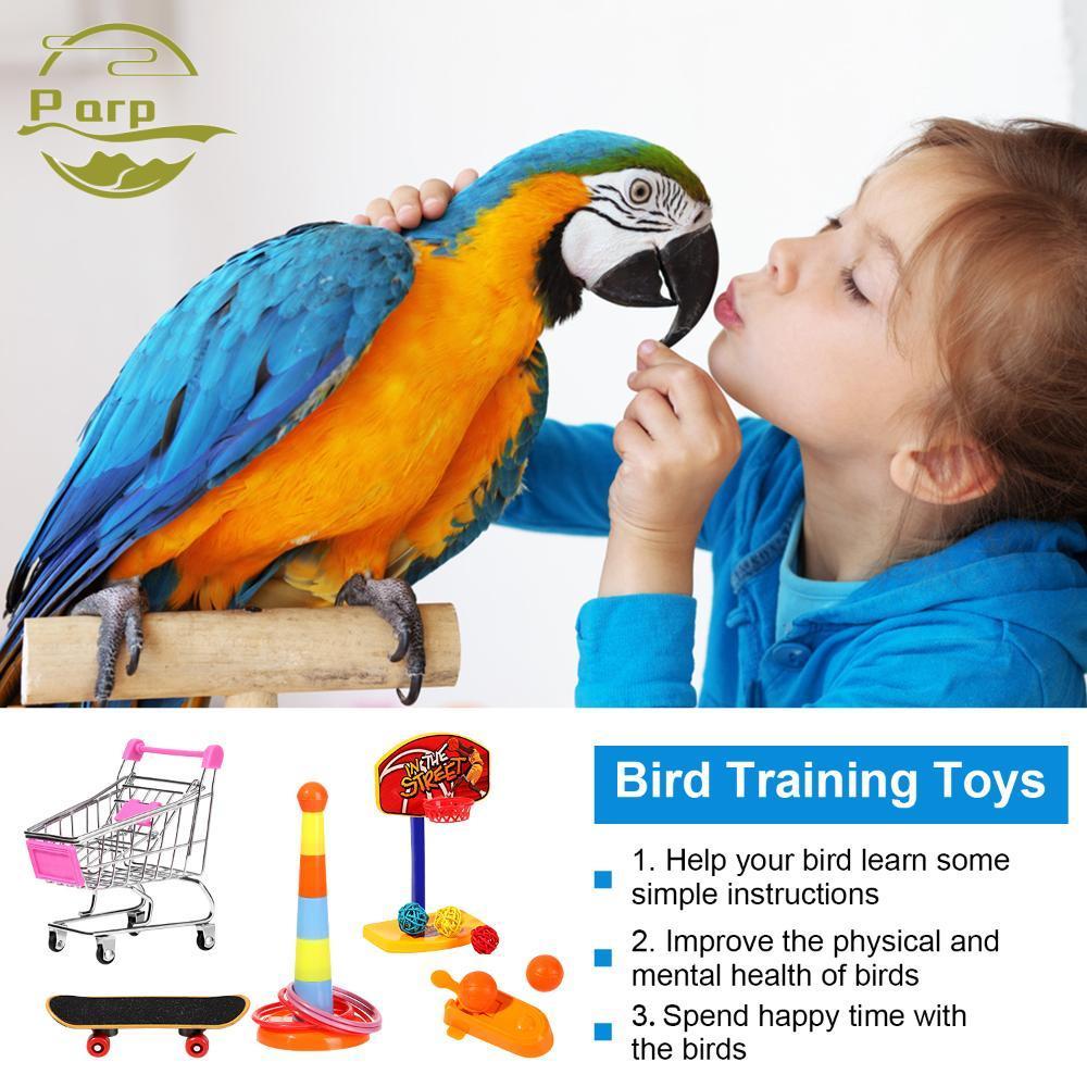 PARPERTY1 4 Peças De Treinamento De Inteligência Produtos Para Animais De Estimação Anéis De Skate Calopsita