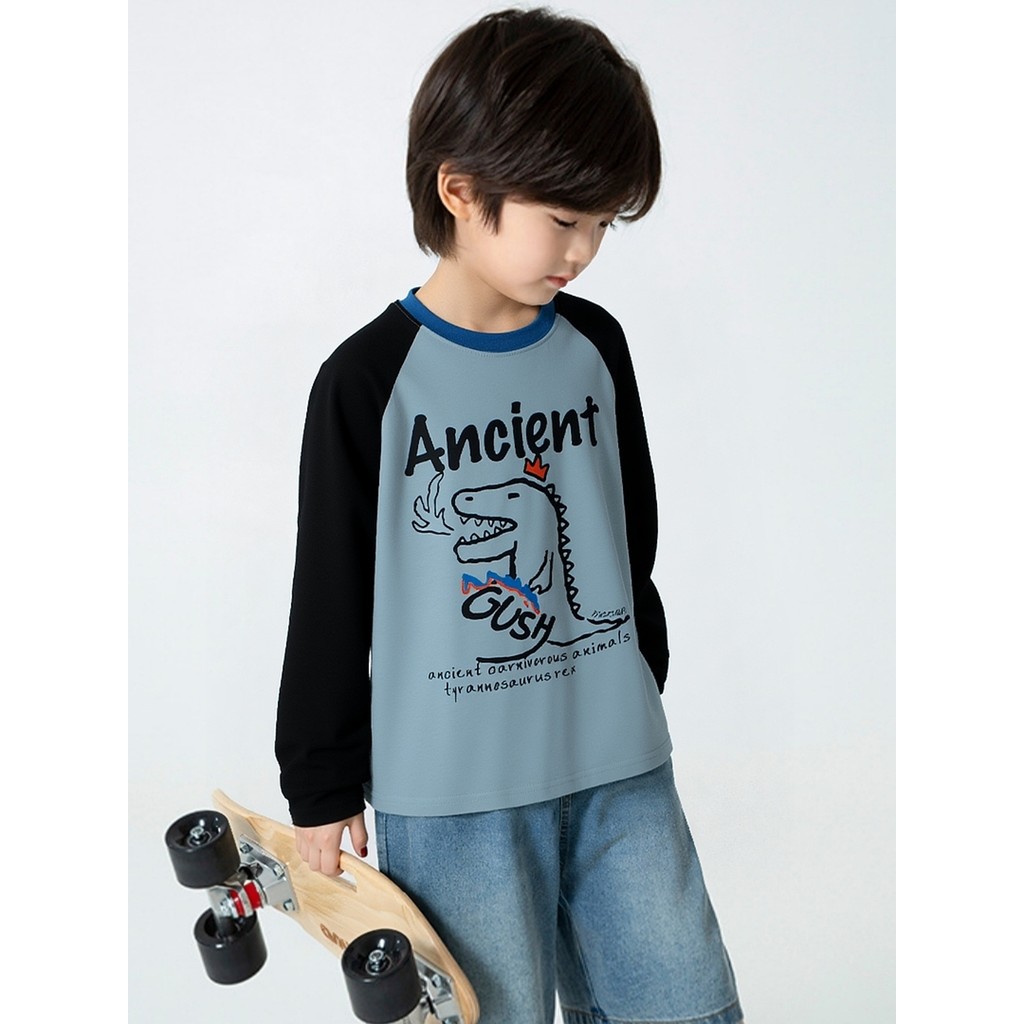 Marca de comércio exterior roupas infantis médio grande crianças Raglan manga comprida camiseta meninos na moda dos dese