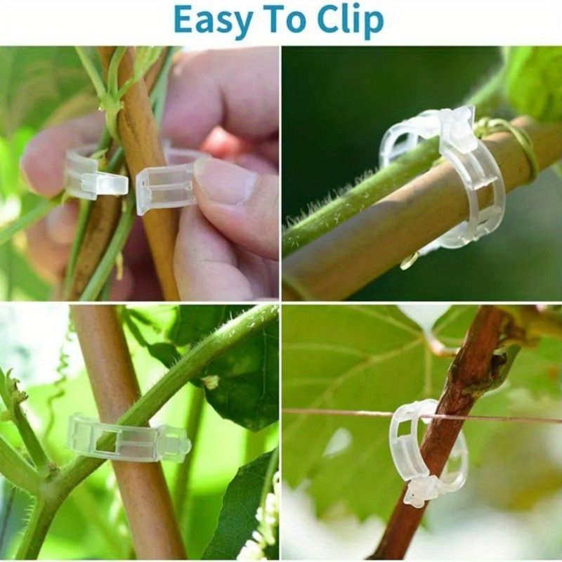 100 Pçs Clipes De Planta Suporta Plástico Reutilizável Conecta Fixação Videira Tomate Haste Enxertia Plantas Vegetais Po